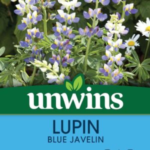 Unwins Lupin Blue Javelin 15 Seeds