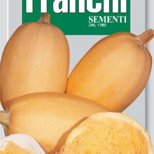 Franchi Seeds of Italy Courgette Vegetable Spaghetti Seeds
