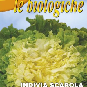 Franchi Organic BIOB121/2 Escarole Bionda CP Seeds