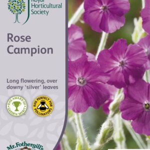 Mr Fothergills RHS Rose Campion 500 Seeds