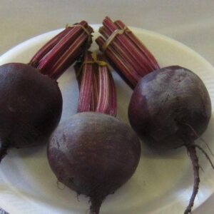 Beetroot Red Ace F1 Hybrid Seeds