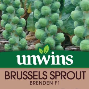 Unwins Brussels Sprout Brenden F1 - 50 Seeds