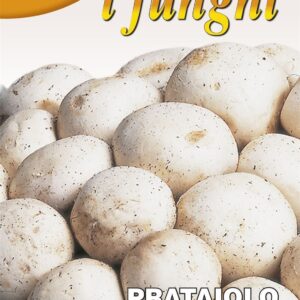 FRANCHI - BUTTON MUSHROOM - PRATAIOLO - 100G