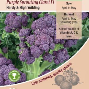 Kings Seeds  Broccoli Purple Sprouting Claret F1 Seeds
