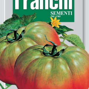 Franchi Tomato Pantano 2g Seeds