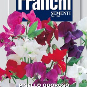 Franchi Seeds of Italy - Flower - FDBF_ 344-1 - Sweet Pea - Grandiflora - Mix - Seeds