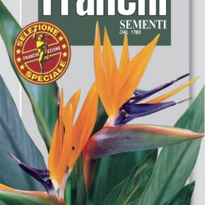Franchi Seeds of Italy - Flower - FDBF_S 352-50 - Strelitzia - Bird of Paradise - Seeds