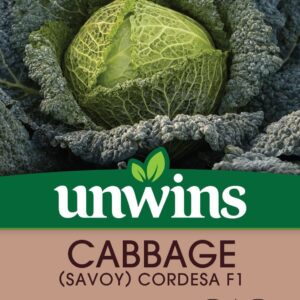 Unwins Cabbage (Savoy) Cordesa F1 20 Seeds