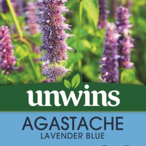 Unwins Agastache Lavender Blue 50 Seeds