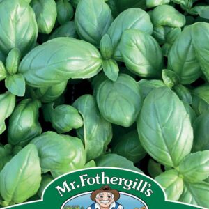 Mr Fothergills Basil Dolce Vita 300 Seeds
