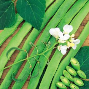 Unwins - Vegetable - Runner Bean White Lady Seeds