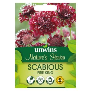 Unwins Flower Scabious Fire King - 50 Seeds
