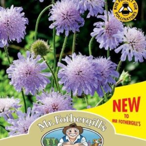 Mr Fothergills - Wild Flower - Field Scabious - 50 Seeds