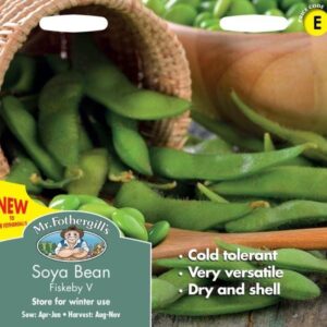 Mr Fothergills - Vegetable - Soya Bean Fiskeby - 50 Seeds