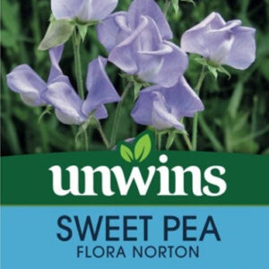 Unwins Flower Sweet Pea Flora Norton - 21 Seeds