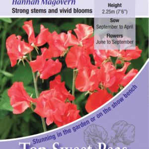 Kings Seeds Sweet Pea Hannah Magovern - 20 Seed