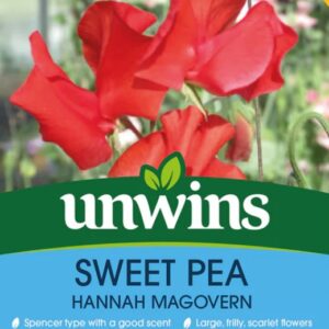 Unwins Flower Sweet Pea Hannah Magovern - 11 Seeds