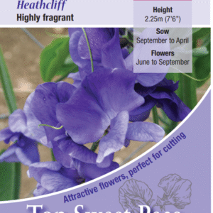 Kings Seeds Sweet Pea Heathcliff 20 Seeds