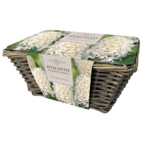 Taylors Large Hyacinth Wicker Basket 6 White Hyacinth Bulbs