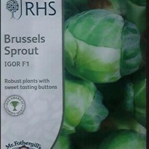Mr Fothergills - RHS Vegetable - Brussels Sprout Igor F1 - 30 Seeds