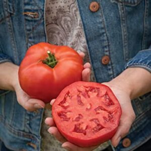 Tomato Burlesque F1 Hybrid Seeds