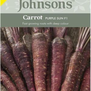 Johnsons Seeds - Vegetable - Carrot - Purple Sun F1 Seeds