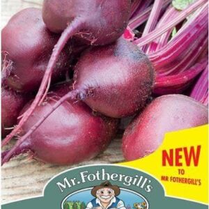 Mr Fothergills - Vegetable - Beetroot Kornett - 150 Seeds