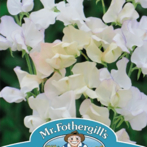 Mr Fothergills Sweet Pea Little Riding Hood Seeds