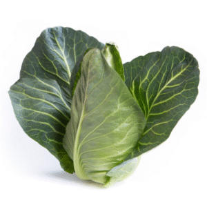 Cabbage Lincma RZ F1 (30-604) Untreated Seeds