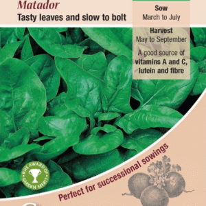 Kings Seeds Spinach Matador Seeds