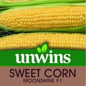 Unwins Sweet Corn Moonshine F1 30 Seeds