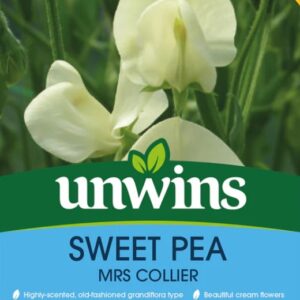Unwins Flower Sweet Pea Mrs Collier - 21 Seeds