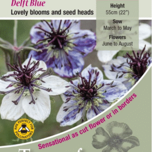 Kings Seeds Nigella Delft Blue 500 Seed