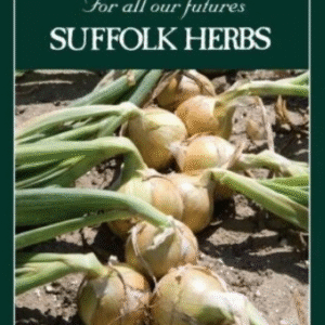 Suffolk Herbs Organic Onion Hylander F1 Seeds
