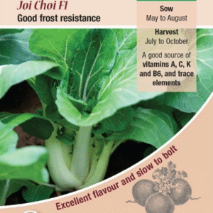 Kings Seeds Pak Choi Joi Choi F1 - 150 Seeds