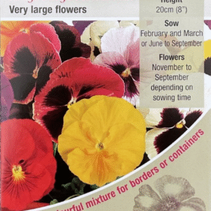 Kings Seeds Pansy Large Flower Mix 40 Seed