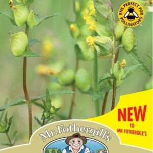Mr Fothergills - Wild Flower - Yellow Rattle - 150 Seeds