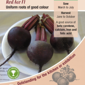 Kings Seeds Beetroot Red Ace F1 - 200 Seeds