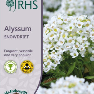Mr Fothergills - RHS Flower - Alyssum Snowdrift - 1500 Seeds