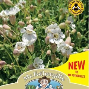Mr Fothergills - Wild Flower - Sea Campion - 250 Seeds
