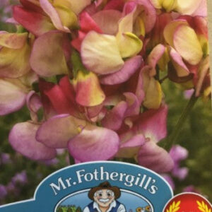 Mr Fothergills Sweet Pea Spanish Dancer 20 Seeds