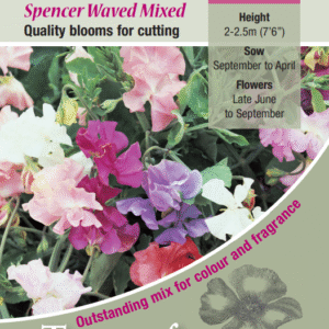 Kings Seeds Sweet Pea Spencer Waved Mix 35 Seed