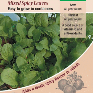 Kings Seeds Salad Leaf Mixed Spicy Leaf 250 Seeds