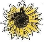 Mr Fothergills - Vegetable - Pepper (Hot) - Havana Gold Seeds