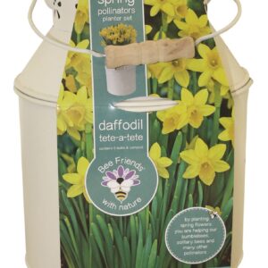 Bees Friends - Narcissus - Tete a Tete - Bulb Spring Flower Milk Churn Growing Kit