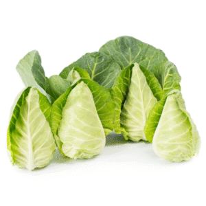 Cabbage Tourima RZ F1 (30-252) Untreated Seeds