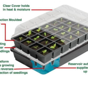 24 Cell Self Watering Seed Success Kit - Garland G165