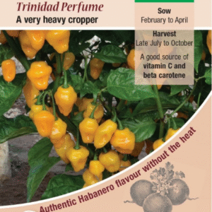 Kings Seeds Chilli Pepper Trinidad Perfume 10 Seeds