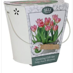 Bees Friends Tulip - Peach Blossom - Bulbs Spring Flower Bucket Growing Kit