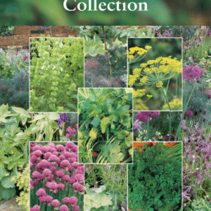 Suffolk Herbs Windowsill Seed Herb Collection